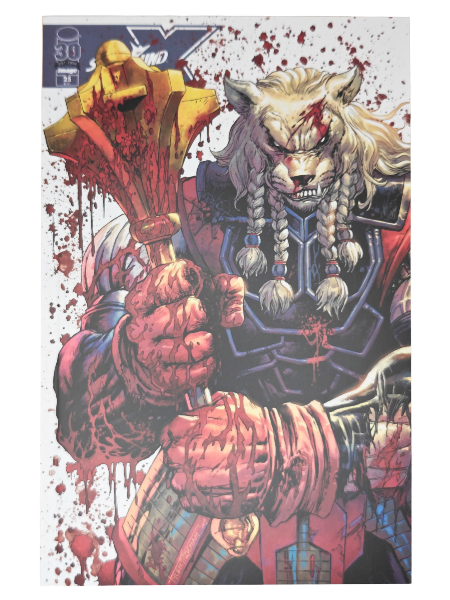 Skybound X #25 Battle Beast Tyler Kirkham Battle Damage Variant