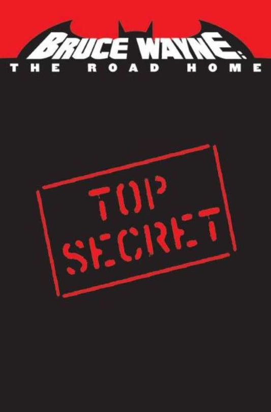 Bruce Wayne The Road Home Batman & Robin #1