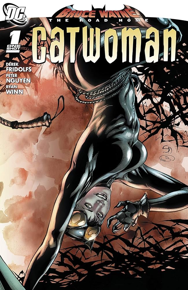 Bruce Wayne The Road Home Catwoman #1