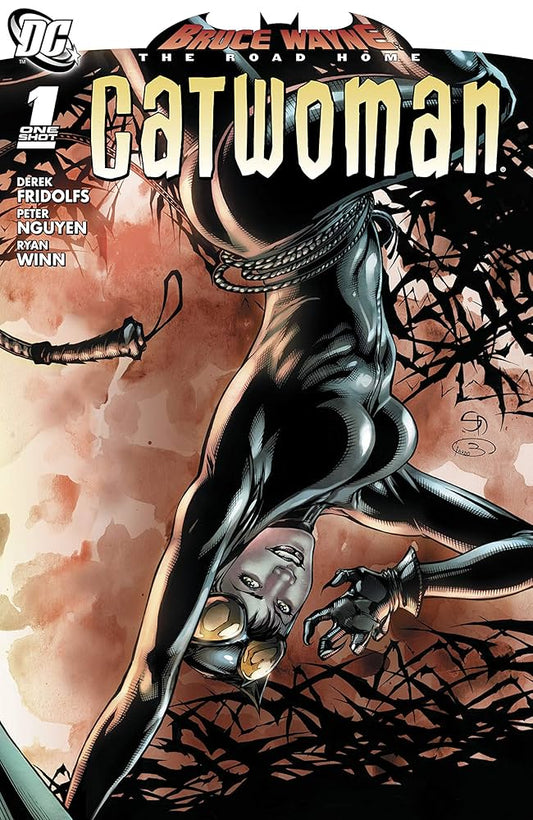 Bruce Wayne The Road Home Catwoman #1
