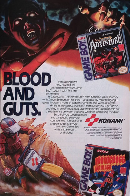 Teenage Mutant Ninja Turtles Adventures #10